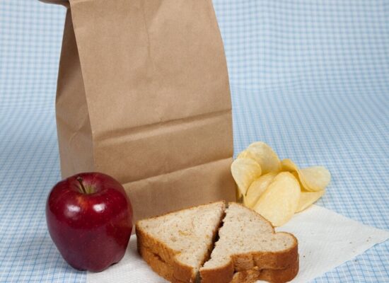 Arbemu- Table Cover, sack-lunch-with-apple-sandwich-and-chips-on-a-blue-gingham-tablecloth, supplier, manufacturer in Turkey, Turkiye